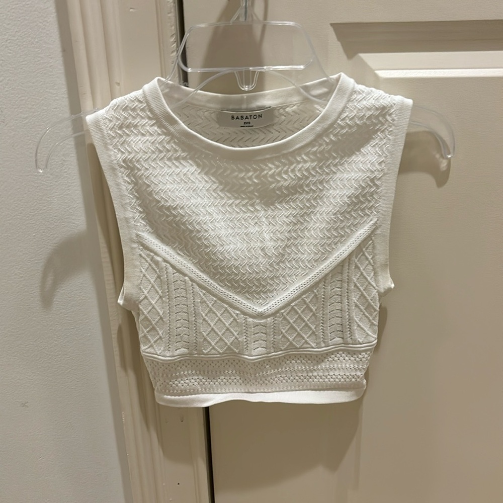 Aritzia Babaton Top